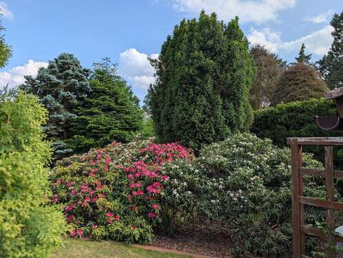 Gartenimpressionen - 
