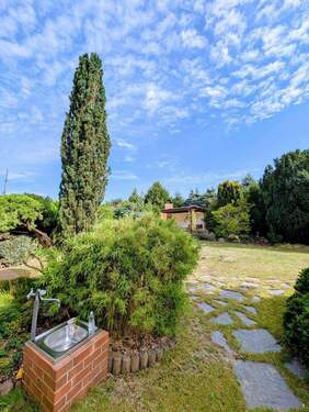 Hinter dem Haus - 