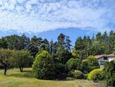 Gartenimpressionen - 