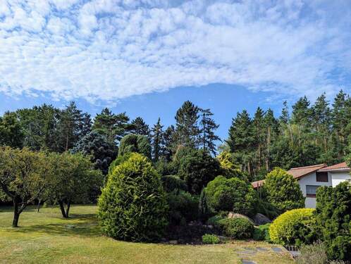 Gartenimpressionen - 