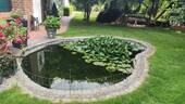 Gartenteich - 
