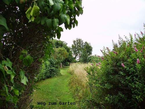 Weg zum Garten - 