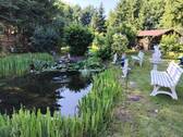 Teich und Gartenhaus - 