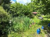Blick zum Gartenteich - 