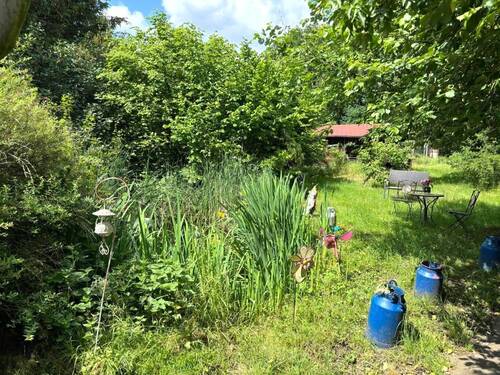 Blick zum Gartenteich - 