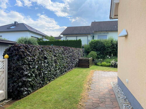 Hausseite 1 - 4 Zimmer Doppelhaushälfte zur Miete in Bad Köstritz