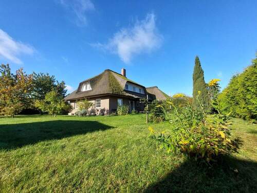 Blick aus dem Carport - 