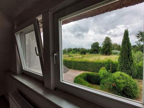 Blick aus dem Arbeitszimmer - 