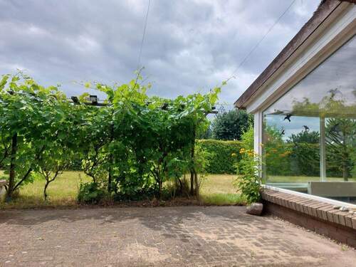 Terrasse mit Weinpflanzen - 