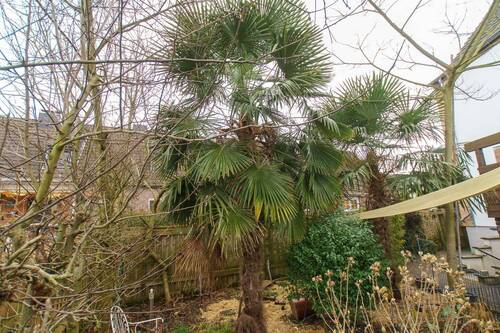 Garten - 