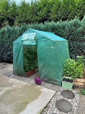 Gemüse Zelt - 