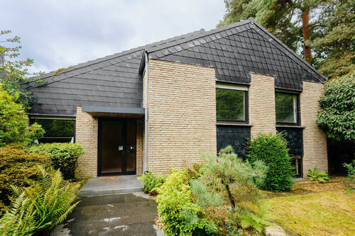Anischt - 