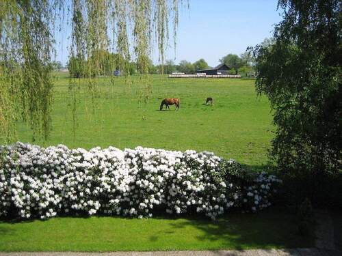 Aussicht Schlafzi., Bad, Küche - 4 Zimmer Doppelhaushälfte in Bremen