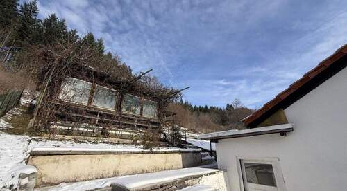 Garten & Gartenhaus - 