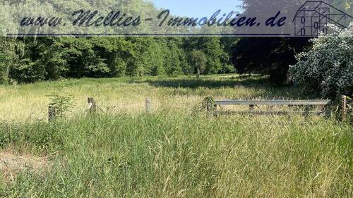 Bild 1 - Traumgrundstück wartet auf Ihr Haus