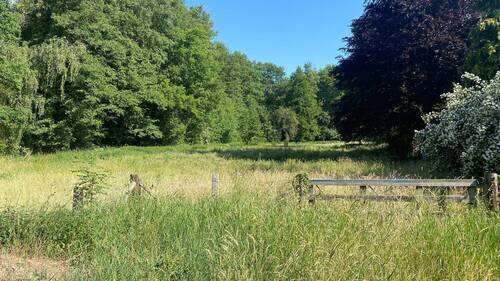 Bild 3 - Grundstück in Dannenberg