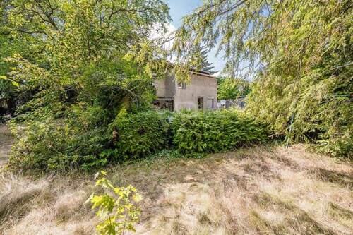 Garten neben dem Haus - 8 Zimmer Mehrfamilienhaus, Wohnhaus in Berlin