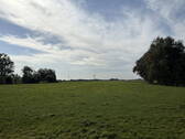 angrenzende Wiese - 