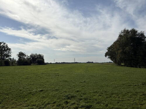 angrenzende Wiese - 