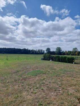 Blick aufs LSG - 8 Zimmer Mehrfamilienhaus, Wohnhaus in Börgerende