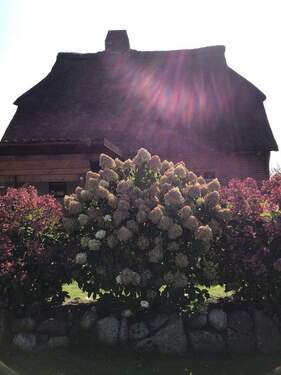 Bild 3 - 5 Zimmer Einfamilienhaus in Heinkenborstel