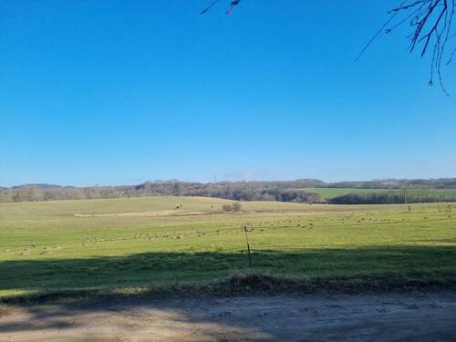 Ausblick - 