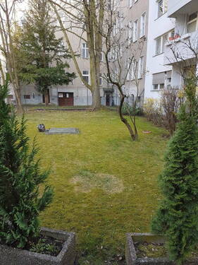 Gemeinschaftsgarten - 