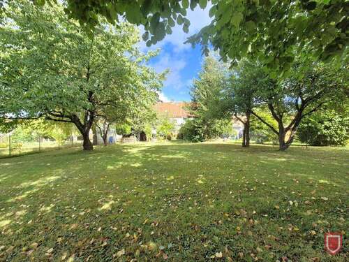 Ihr Garten - 9 Zimmer Mehrfamilienhaus, Wohnhaus zum Kaufen in Calden