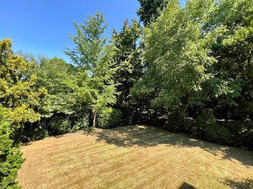 unverbauter Blick ins Grüne - 