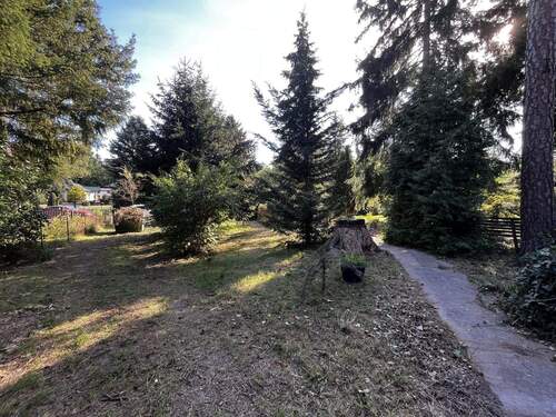 Blick in den Garten - Grundstück in Petershagen zum Kaufen