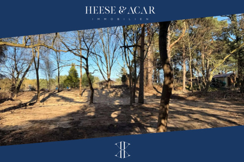 1 - Großzügiges Baugrundstück am Naturschutzgebiet 'Dünen Dabendorf'