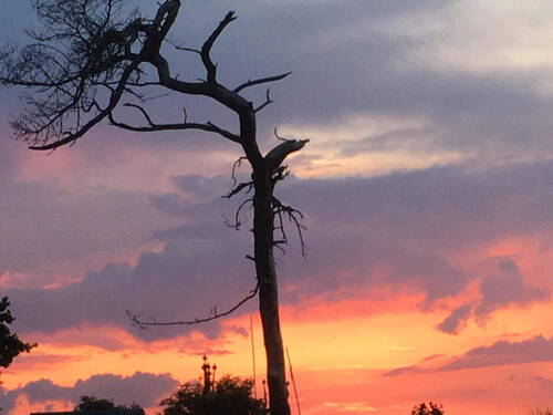 Bild 30 - 