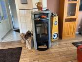 Kamin DG - 