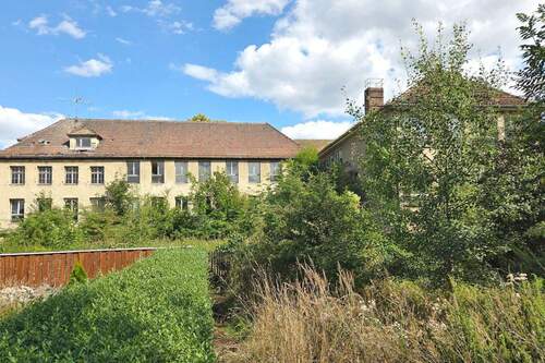 direkt in der Natur - 