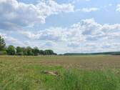 Salder_2.jpg - Einfamilienhaus mit 144,00 m² in Salzgitter zum Kaufen