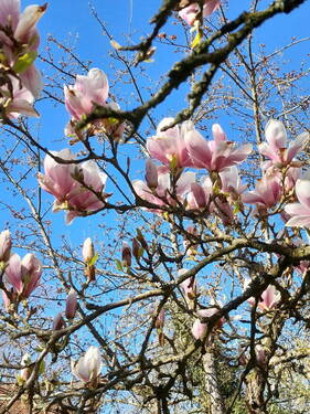 Bild 2 - 1 Zimmer Mehrfamilienhaus, Wohnhaus zum Kaufen in Tosterglope