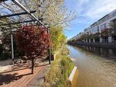 Gracht - Modernes Stadthaus an der Gracht in Köln-Junkersdorf! Sauna, EBK + Keller