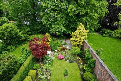 Bild 11 - 