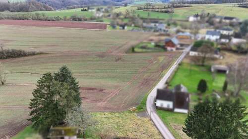 Bild 3 - Grundstück in Niedergeckler