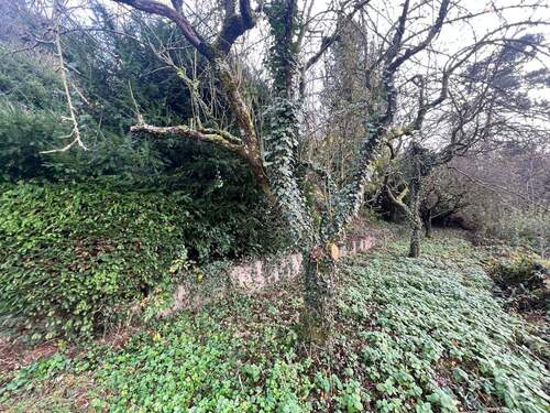 Untere Grundstücksebene - Grundstück in Gelnhausen zum Kaufen