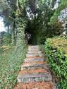 Seitliche Treppe - 