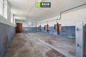 Kuhstall - 