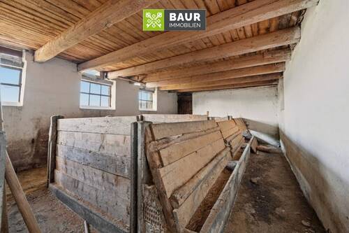 Schweinestall - 