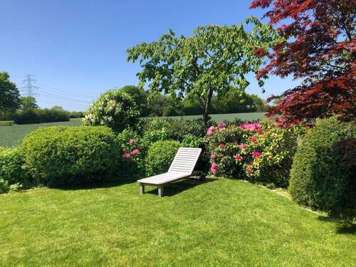 Impressionen - Sommer - 