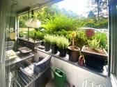 Loggia mit Hofblick - 