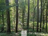 waldverkauf-krumbach_10.jpg - 