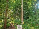 waldverkauf-krumbach_14.jpg - 
