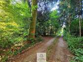 waldverkauf-krumbach_19.jpg - 
