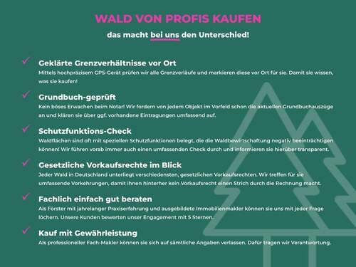 Wald von Profis kaufen.jpg - 