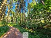 waldverkauf-krumbach_08.jpg - 